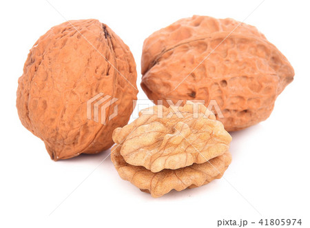 walnut isolated on the white background walnut isolated on the white background 41805974