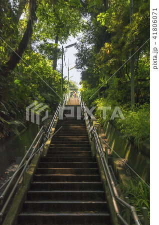 等々力渓谷 谷沢川 等々力渓谷 谷沢川 41806071