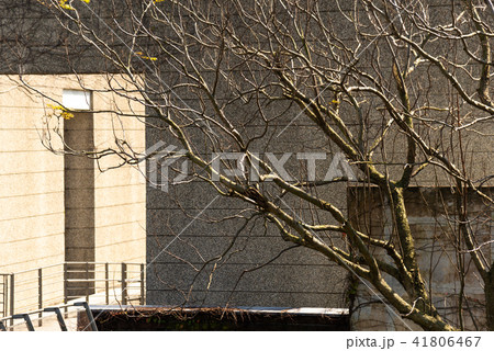 景色 風景 台湾 41806467