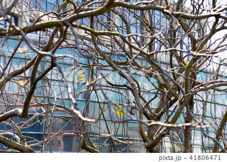 景色 風景 台湾 41806471