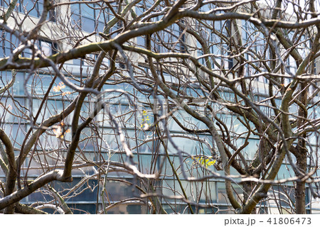 景色 風景 台湾 41806473