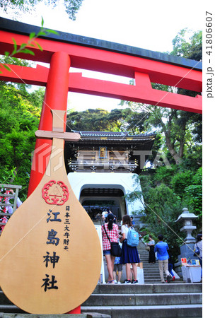 江島神社・朱の鳥居と瑞心門 41806607