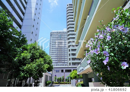 JR尼崎駅周辺（本当に住みやすい街大賞2018 in 関西１位） 41806692