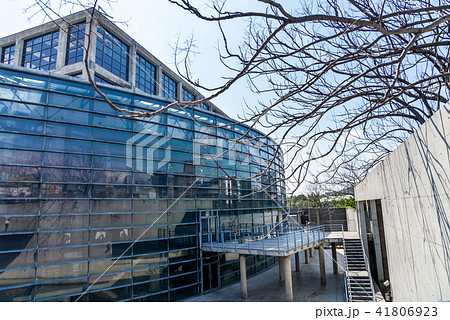 景色 風景 台湾 41806923