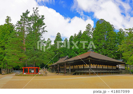 【高野山 壇上伽藍 三鈷の松と御影堂】 (高解像度版) 和歌山県伊都郡高野町高野山 【高野山 壇上伽藍 三鈷の松と御影堂】 (高解像度版) 和歌山県伊都郡高野町高野山 41807099