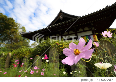 般若寺 般若寺 41807287