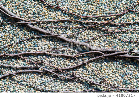 景色 風景 台湾 41807317