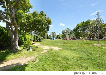 長生村尼ヶ台総合公園 長生村尼ヶ台総合公園 41807397