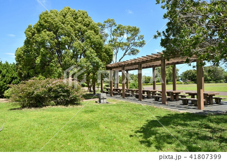 長生村尼ヶ台総合公園 41807399