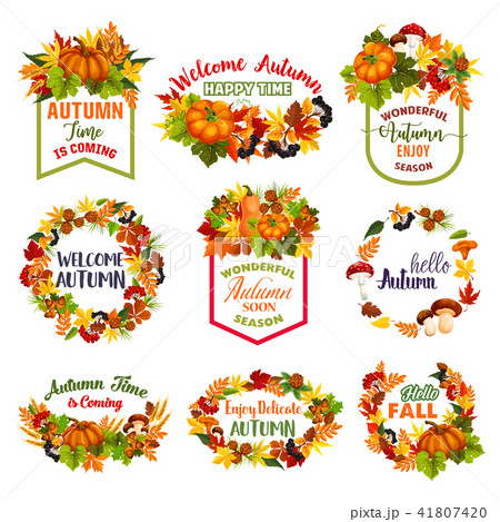 Autumn time vector icons of fall leaf, pumpkin 41807420