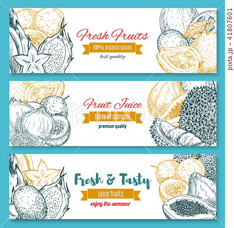 Vector sketch banners of tropical exotic fruits Vector sketch banners of tropical exotic fruits 41807601