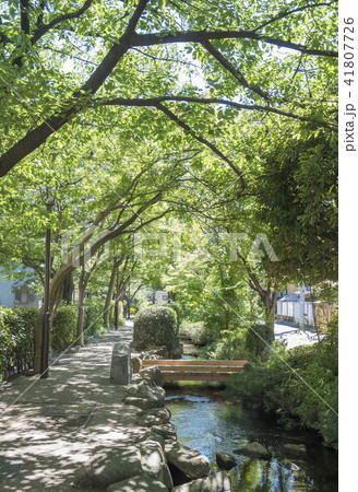 小松川境川親水公園の水源（東京都江戸川区） 41807726
