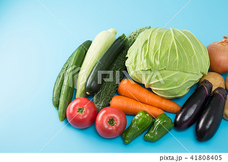 野菜 41808405
