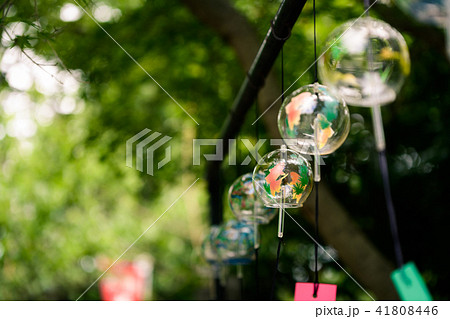 風鈴 夏 初夏 祭り 風鈴 夏 初夏 祭り 41808446