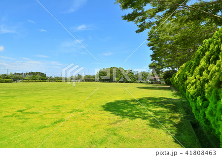 長生村尼ヶ台総合公園 41808463
