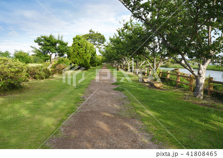 長生村尼ヶ台総合公園 41808465