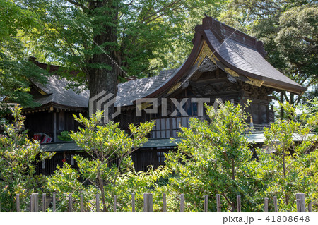麻賀多神社 麻賀多神社 41808648