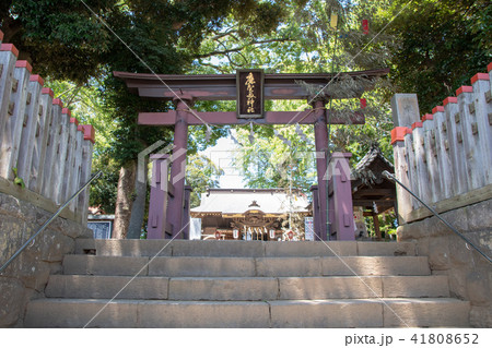 麻賀多神社 麻賀多神社 41808652