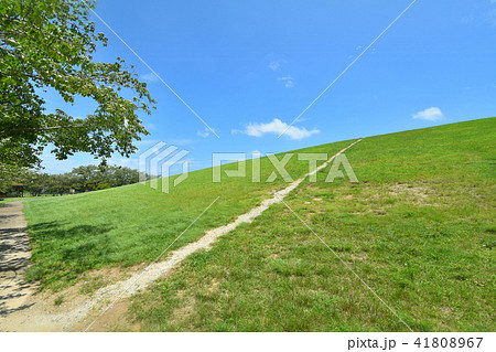 長生村尼ヶ台総合公園 41808967