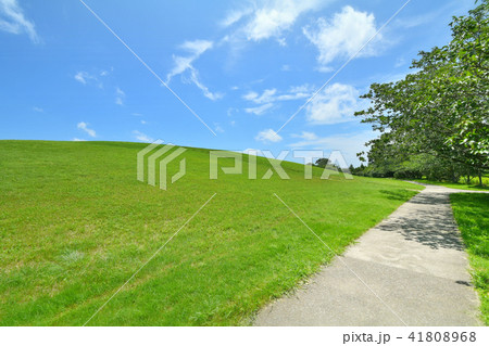 長生村尼ヶ台総合公園 長生村尼ヶ台総合公園 41808968