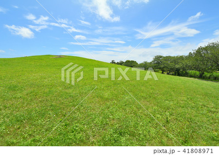 長生村尼ヶ台総合公園 41808971