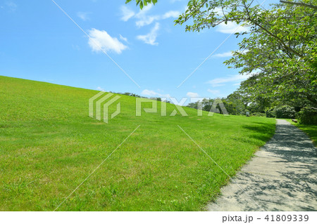 長生村尼ヶ台総合公園 長生村尼ヶ台総合公園 41809339