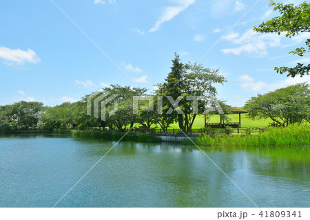 長生村尼ヶ台総合公園 41809341