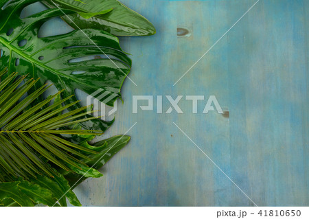 Summer flat lay scenery 41810650