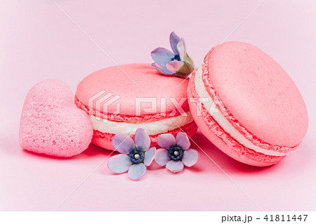 Two pink macarons with little blue flowers Two pink macarons with little blue flowers 41811447