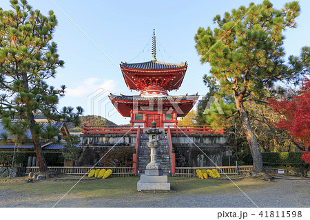 京都・秋の大覚寺・心経宝塔 京都・秋の大覚寺・心経宝塔 41811598