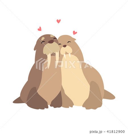 Couple of walruses in love embracing each other, two happy aniimals hugging with hearts over thei Couple of walruses in love embracing each other, two happy aniimals hugging with hearts over thei 41812900