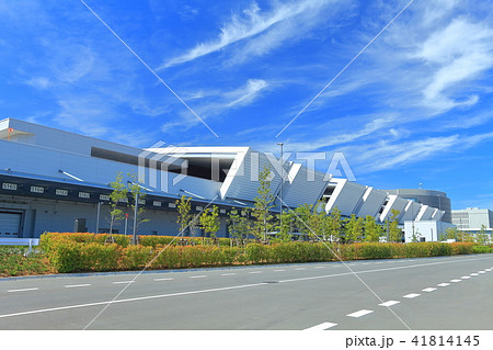 豊洲市場  41814145