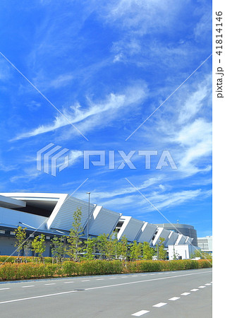 豊洲市場  41814146