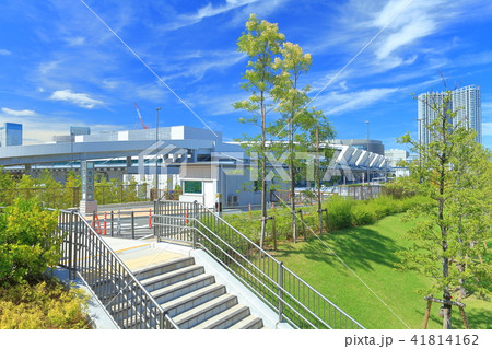 豊洲市場 青果南門 豊洲市場 青果南門 41814162