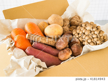 秋野菜　契約農家　宅配　産地直送　旬　秋の味覚 41814943