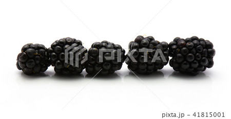 Blackberry isolated on white 41815001