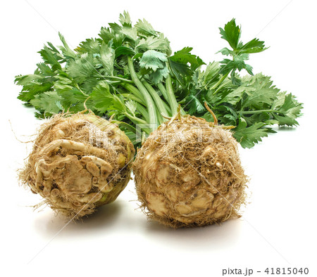 Fresh celery isolated on white 41815040