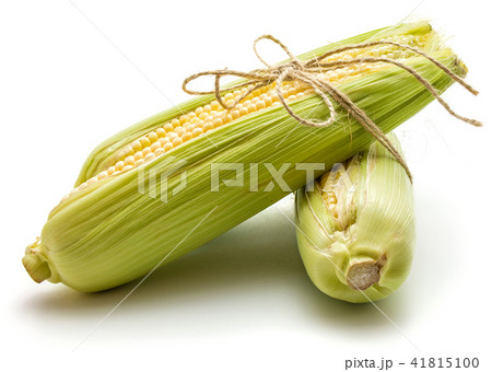Fresh corn isolated on white 41815100