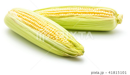 Fresh corn isolated on white 41815101