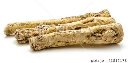 Fresh horseradish isolated on white Fresh horseradish isolated on white 41815178