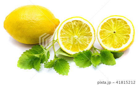 Fresh lemon and melissa isolated Fresh lemon and melissa isolated 41815212