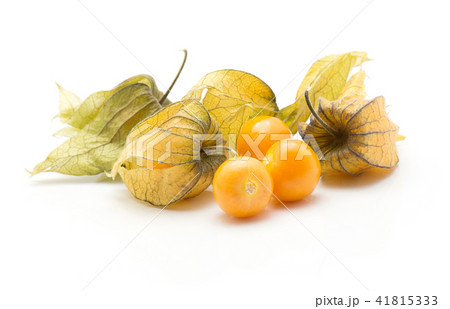 Fresh physalis isolated on white Fresh physalis isolated on white 41815333