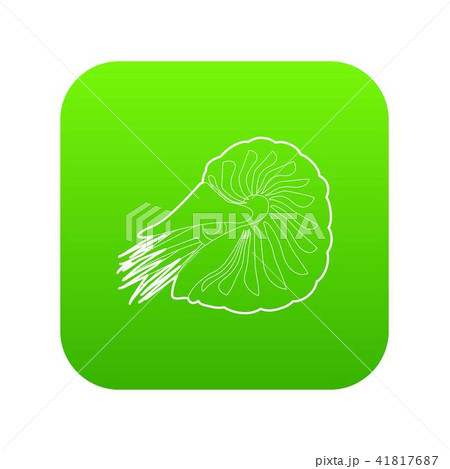 Clam icon outline Clam icon outline 41817687