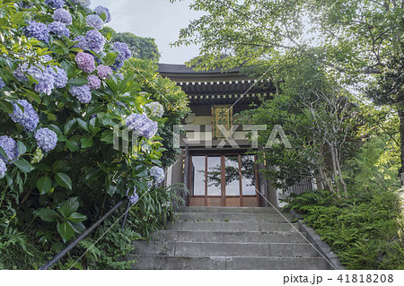 長勝寺の本師堂(鎌倉市材木座) 長勝寺の本師堂(鎌倉市材木座) 41818208