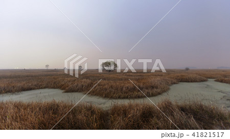 風景 京畿道 キョンギド 41821517