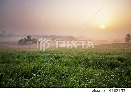 風景 牧場 草原 41821534