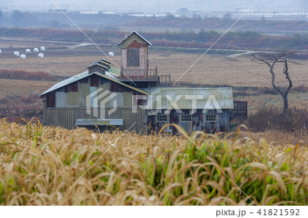 風景 牧場 草地 41821592