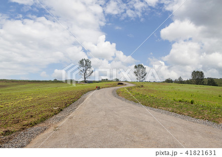 風景 草地 空 41821631