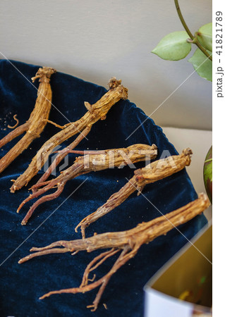 漢方 漢方薬 京畿道 41821789