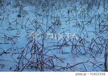 韓国 風景 自然 41822526